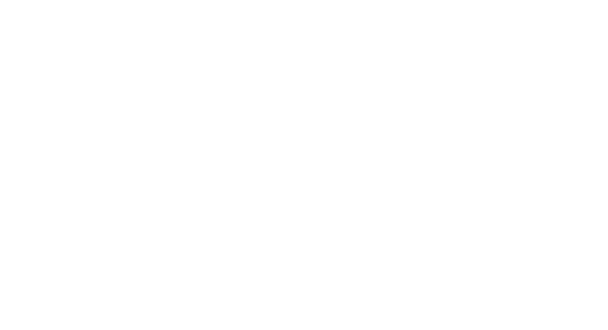 Grupo Zoom
